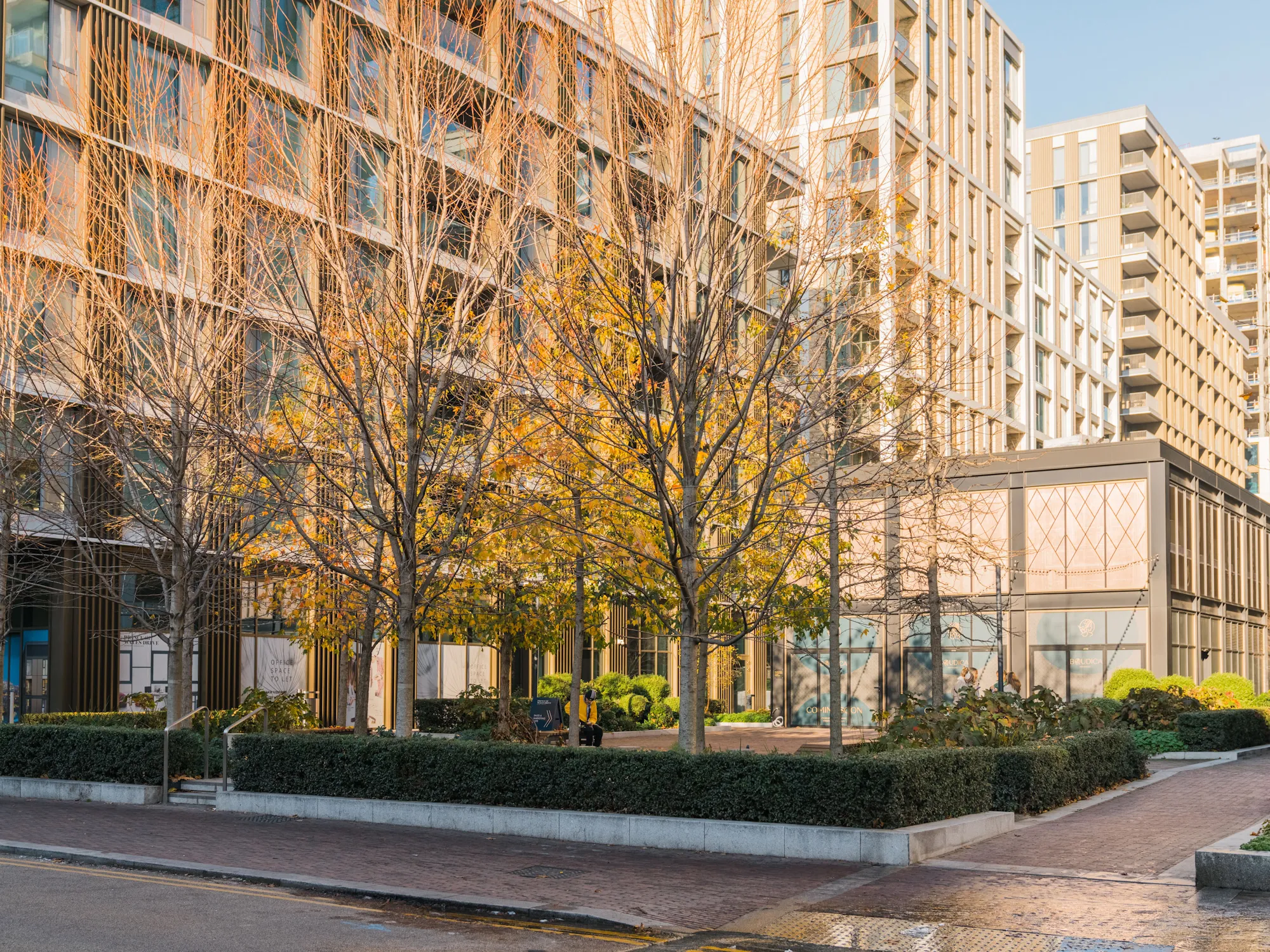 Prince Wales Drive commercial landscape project