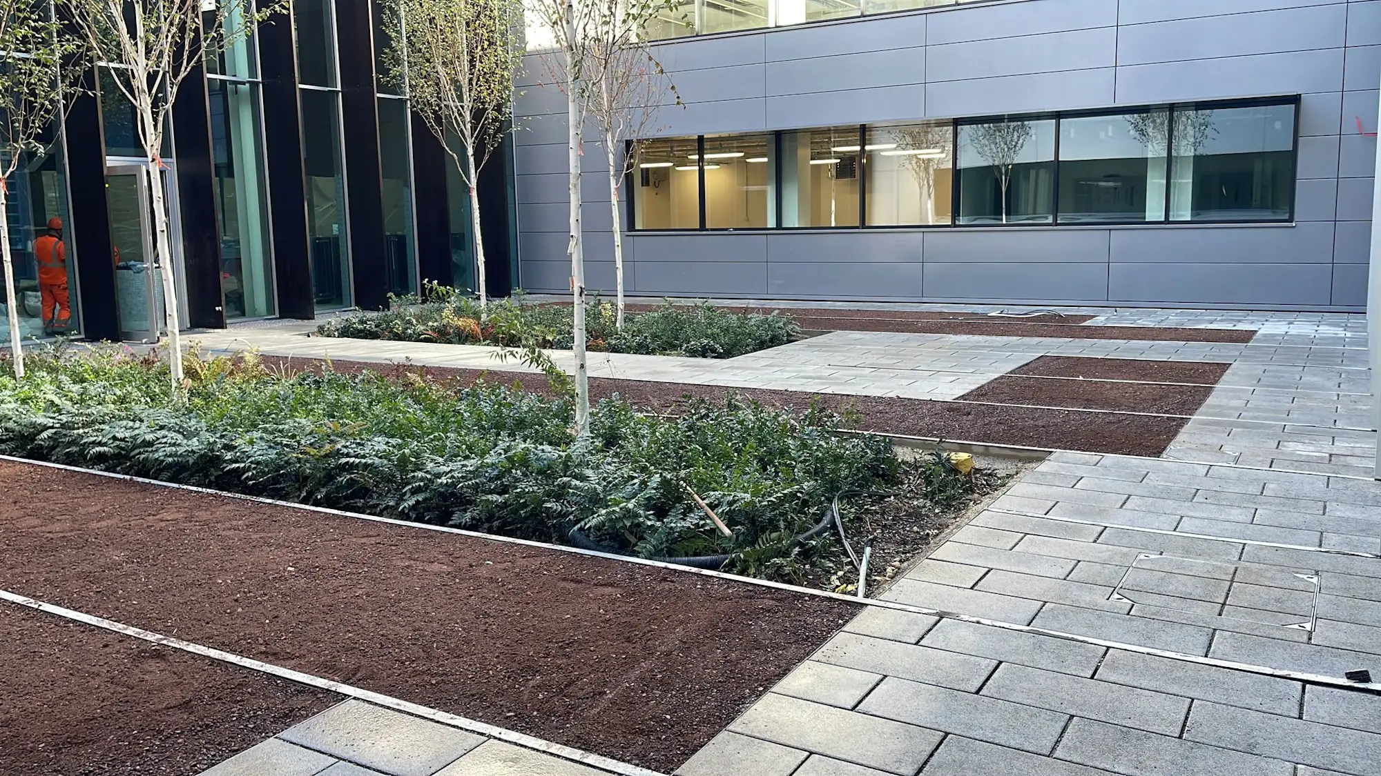 Department of Physics, Cambridge University commercial landscape project