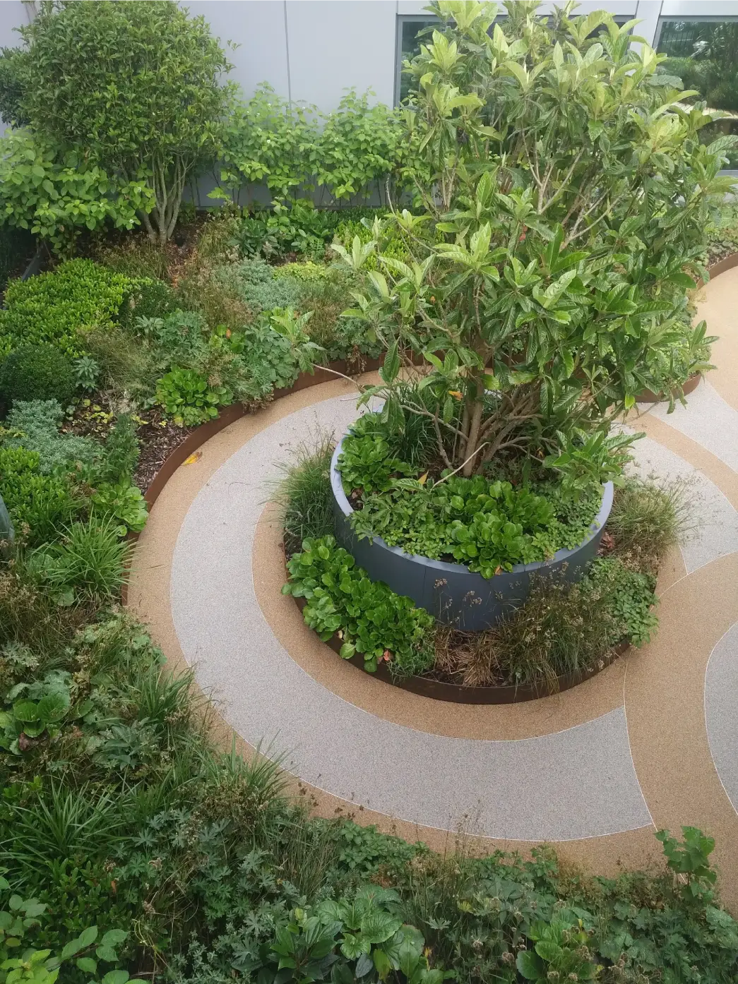 Tubs Hill, Sevenoaks commercial landscape project