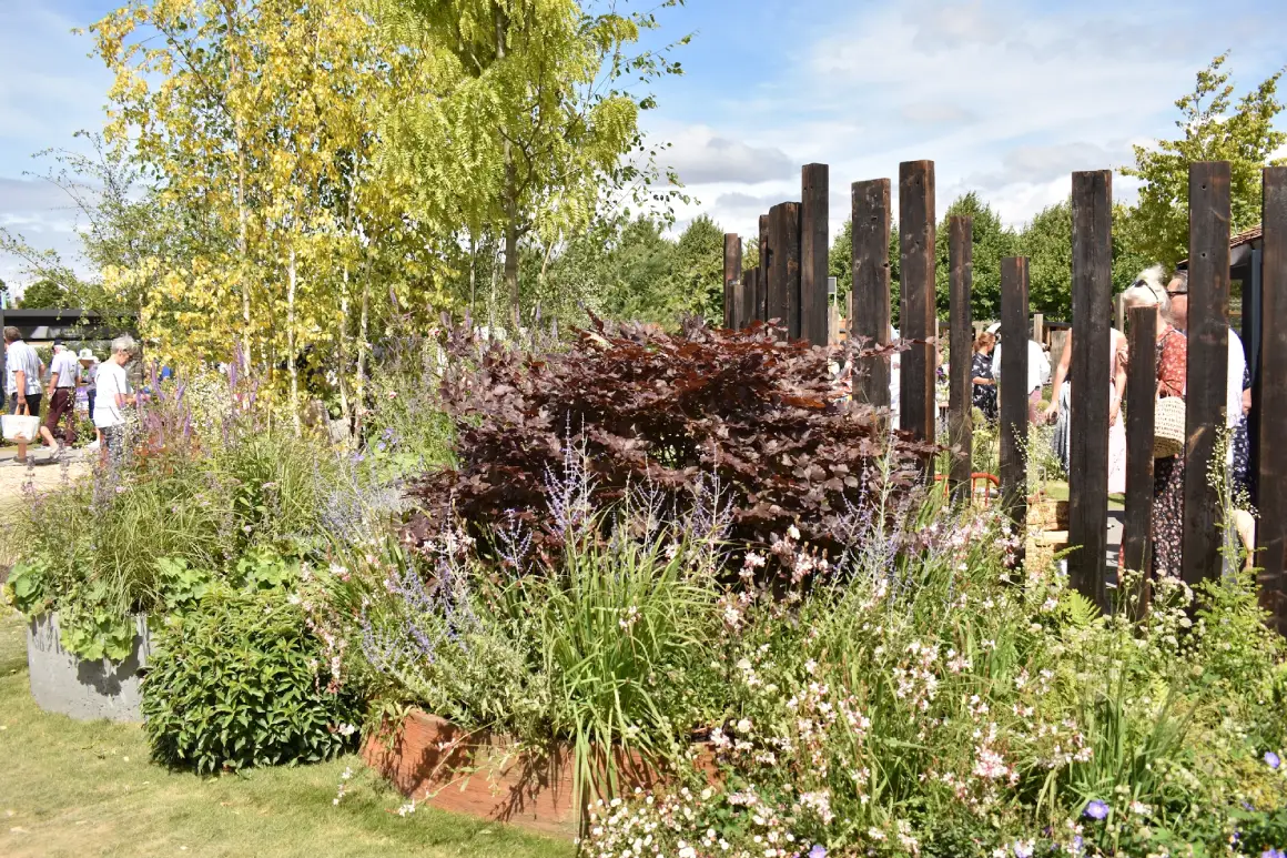 RHS Hampton Court commercial landscape project