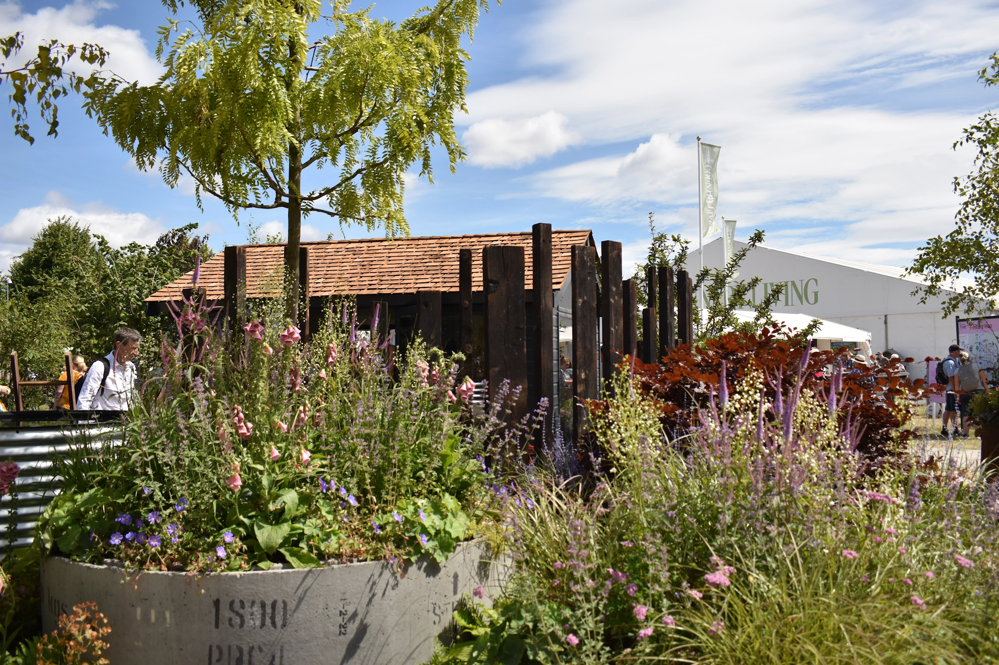 RHS Hampton Court landscape project