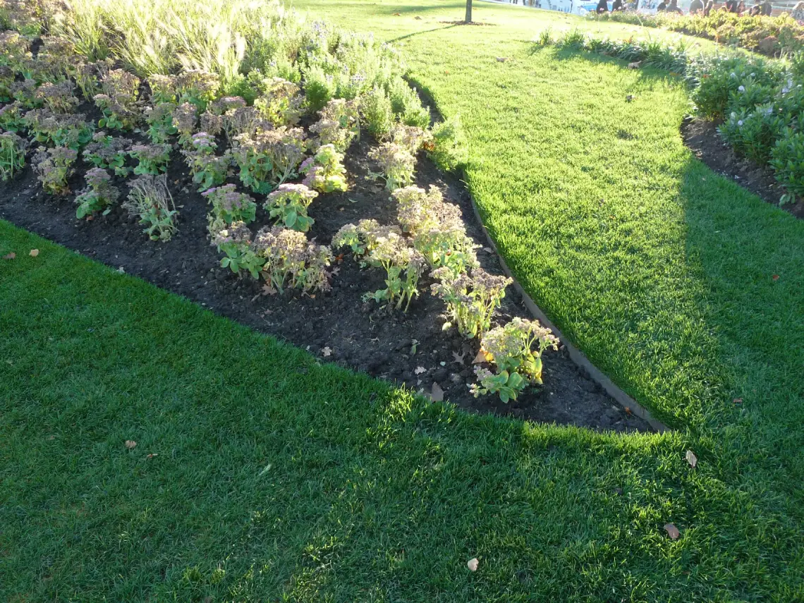 Jubilee Gardens commercial landscape project