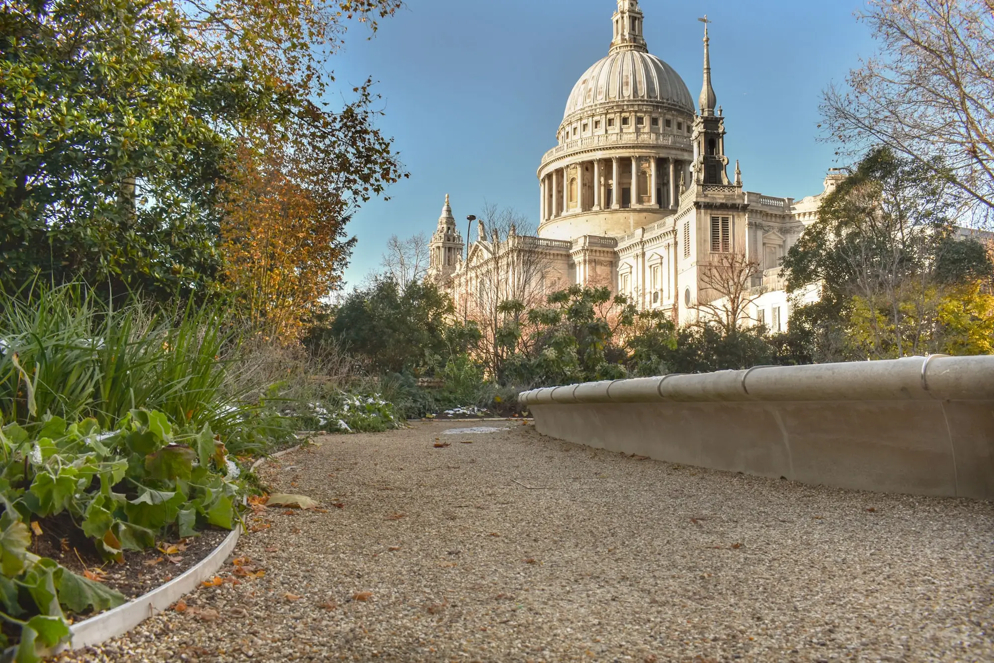 25 Cannon Street commercial landscape project