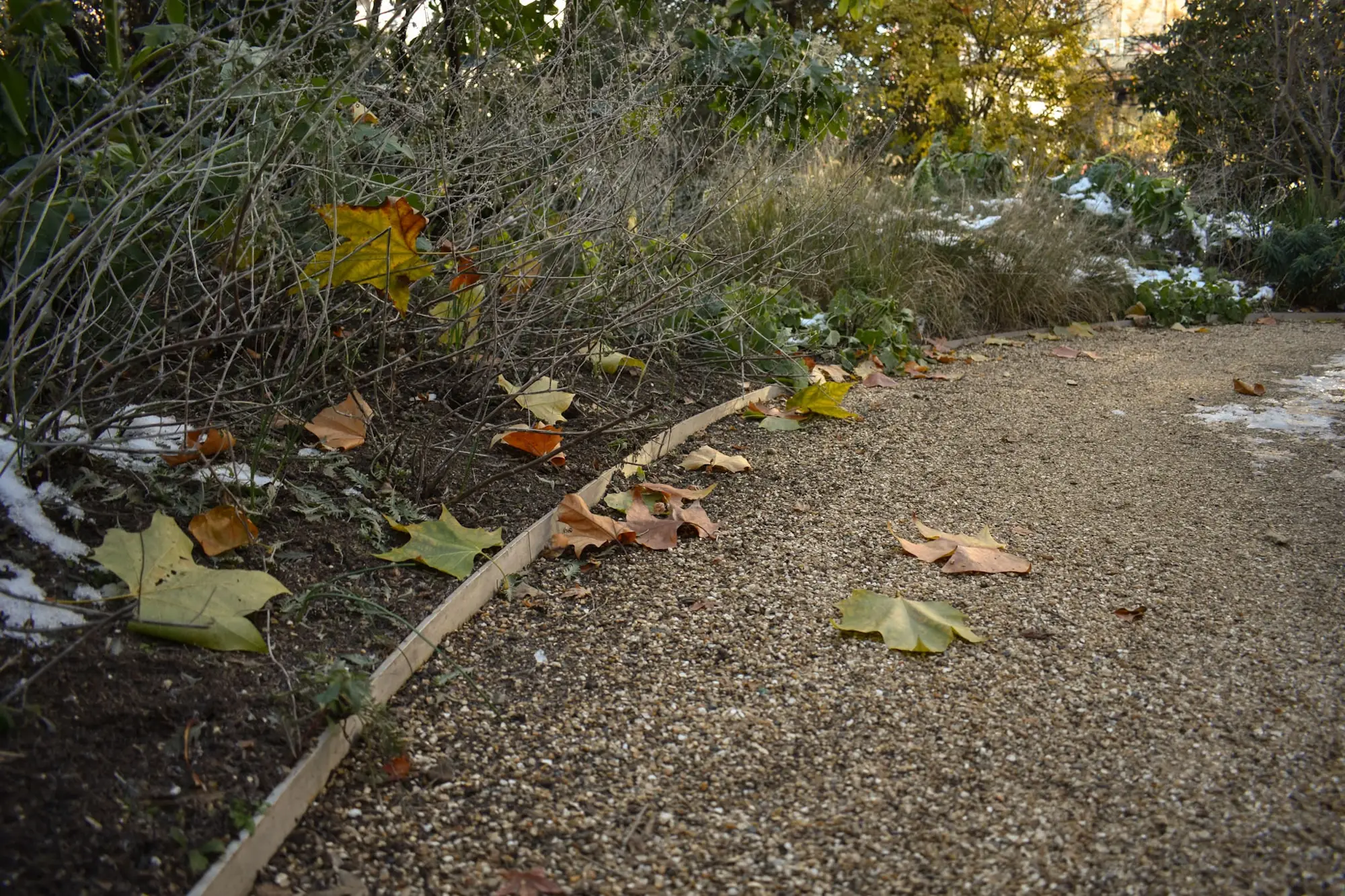 25 Cannon Street landscape project
