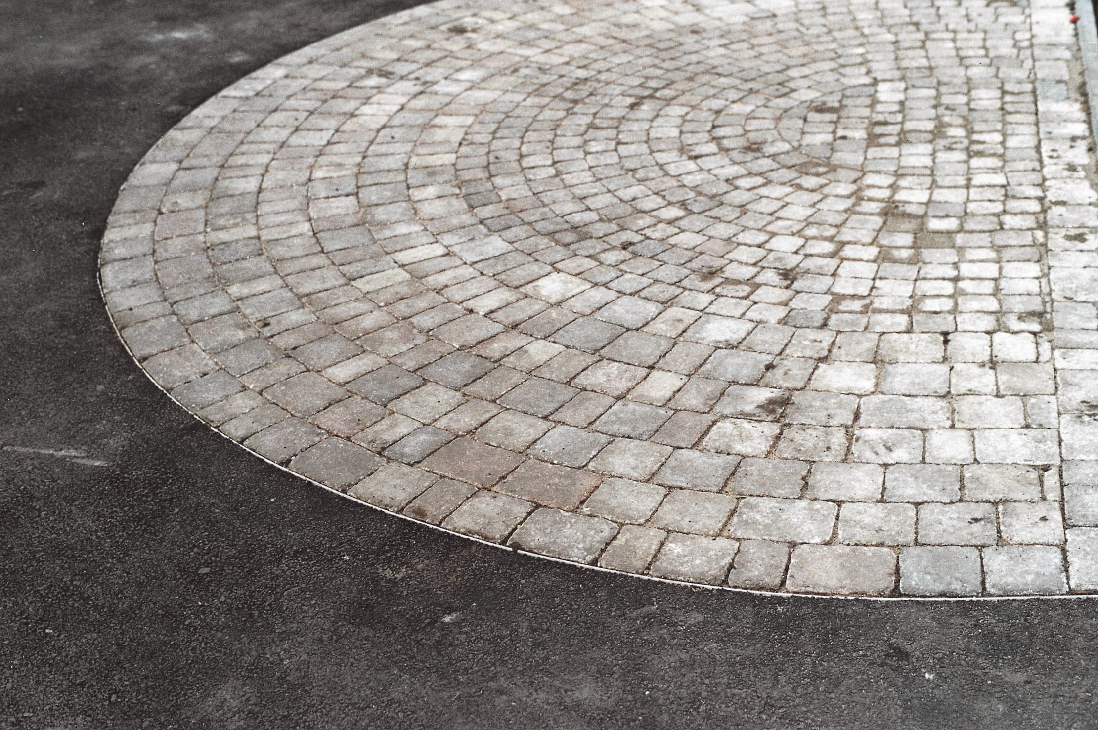 Rain gardens vs SuDS: Comparing water management solutions - Kinley Systems blog image