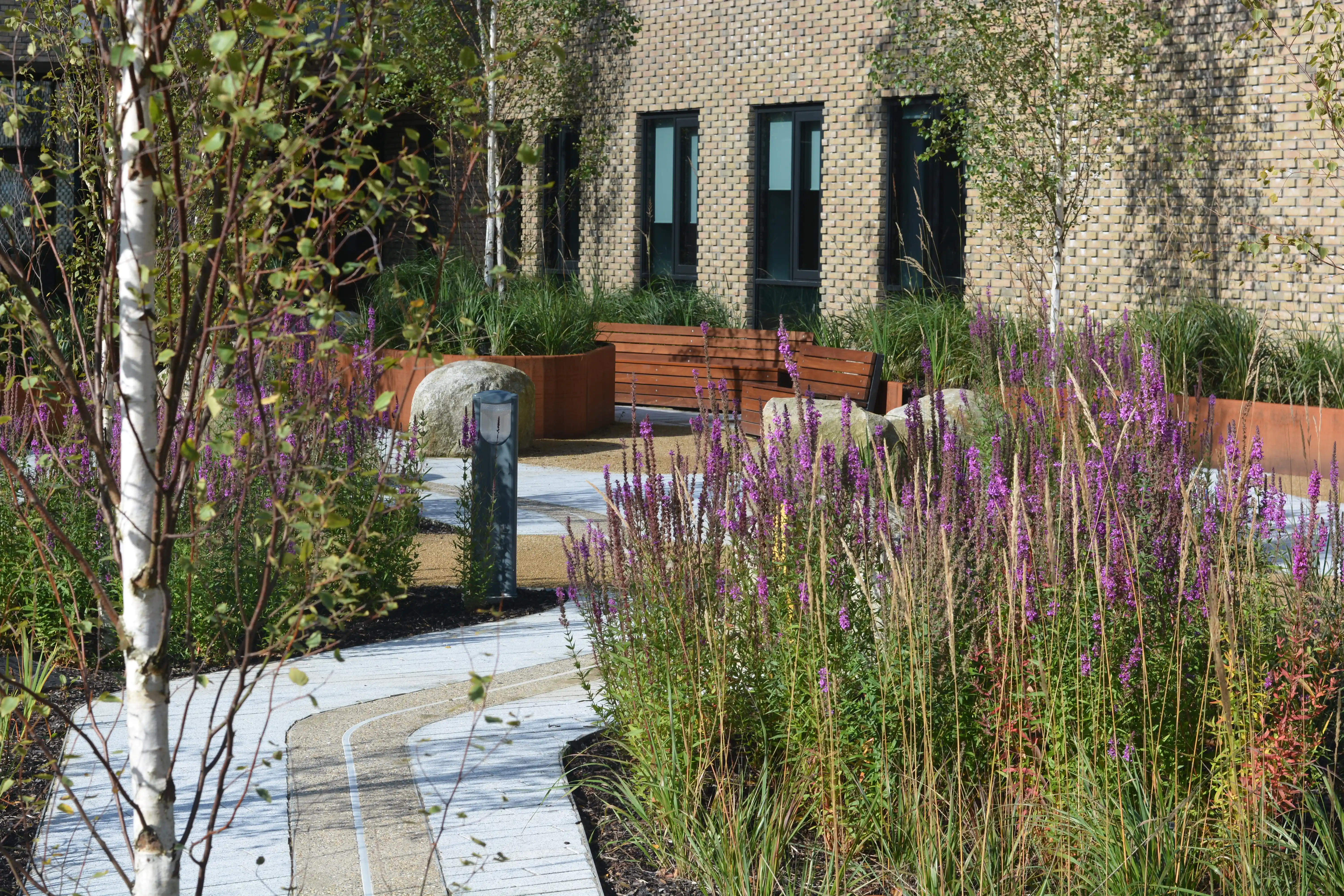 Rain Gardens: Their Biodiversity Net Gain Benefits - Kinley Systems blog image