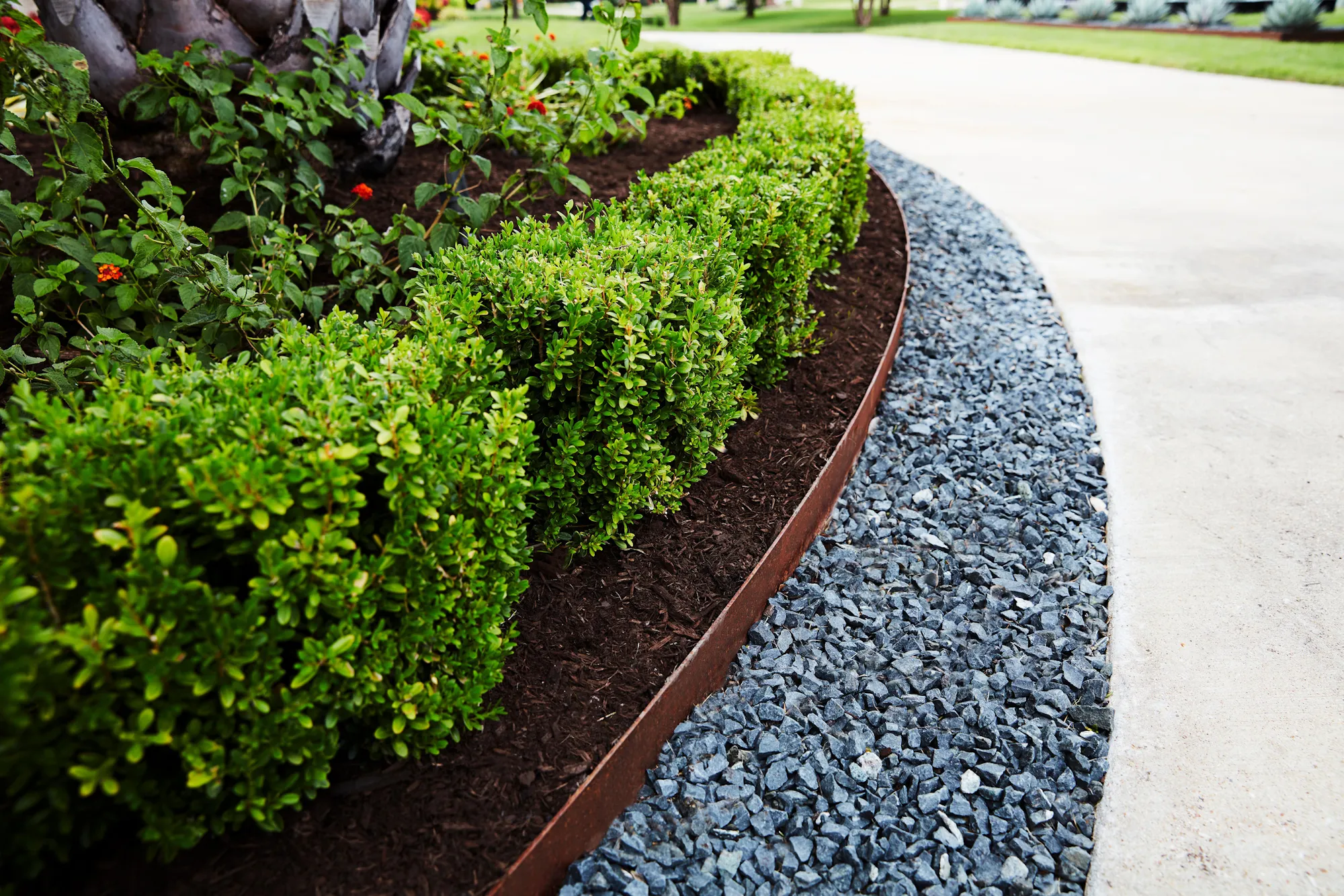 The Benefits of Quality Planter Edging — featured image