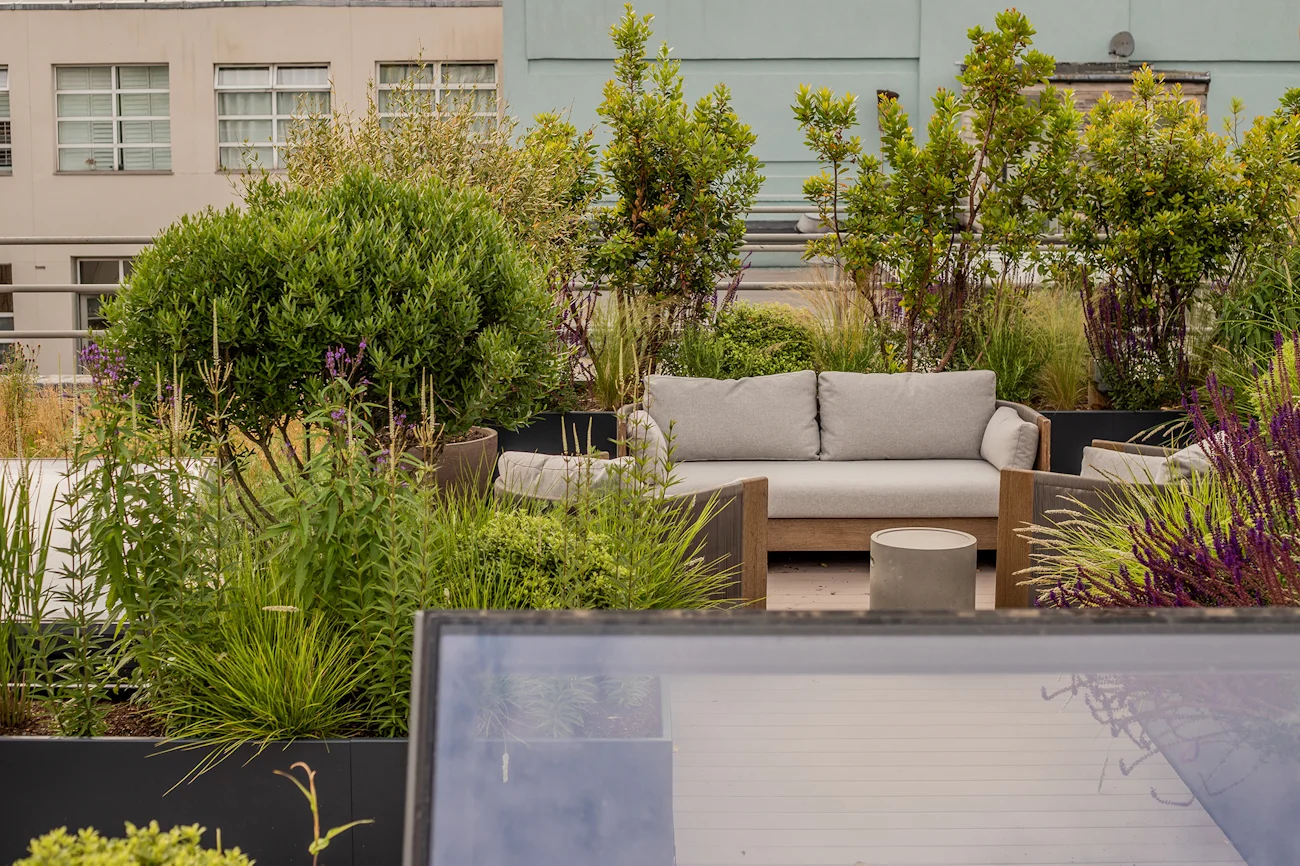Roof terrace garden