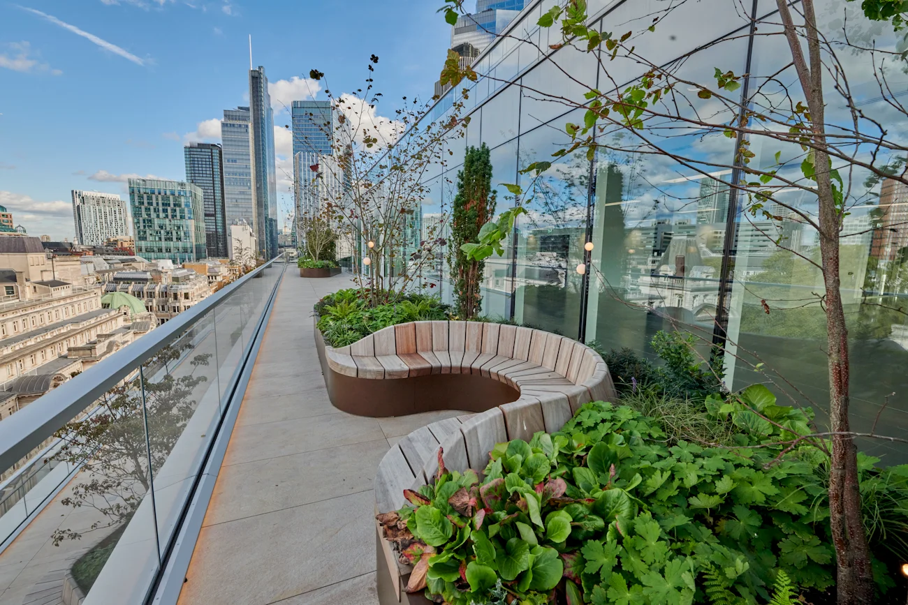 Roof terrace scene