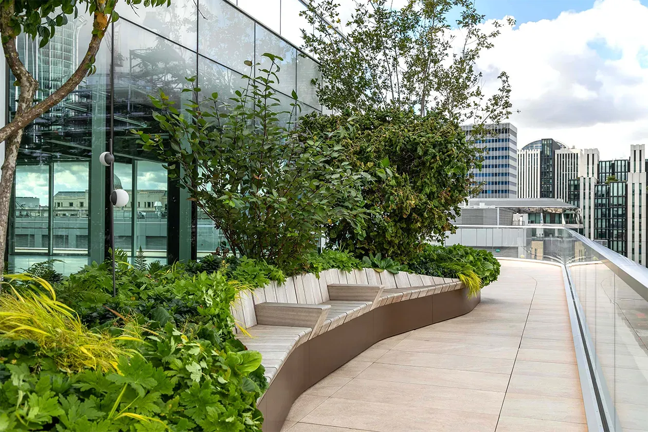 Curved wooden bench surrounded by green plants on a rooftop terrace with city buildings nearby.