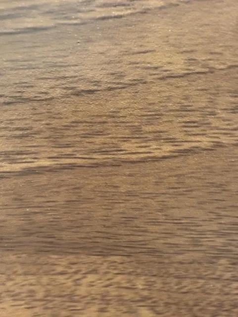 Close-up of a wood surface with natural grain and texture in warm brown tones.