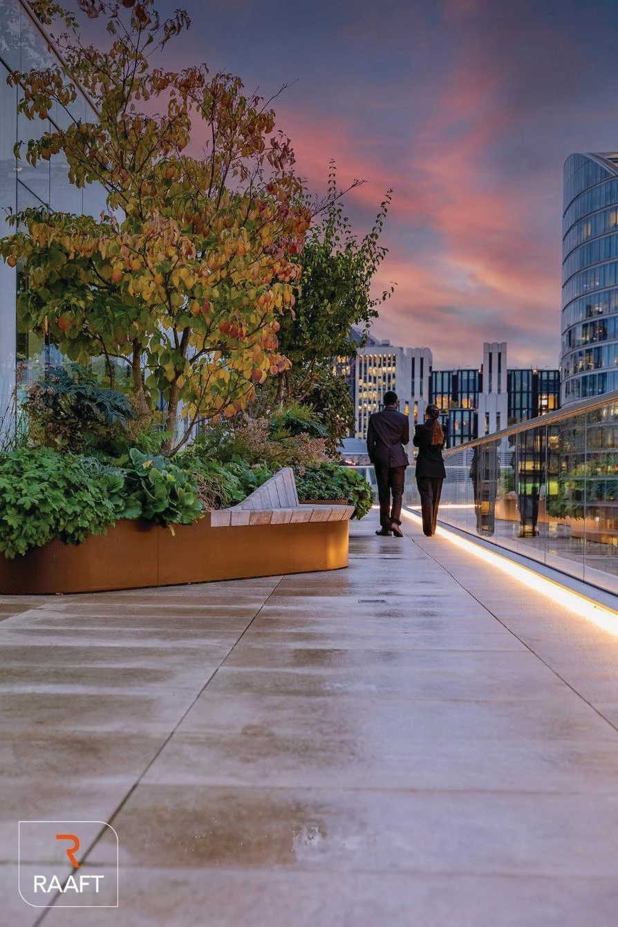 Roof terrace scene