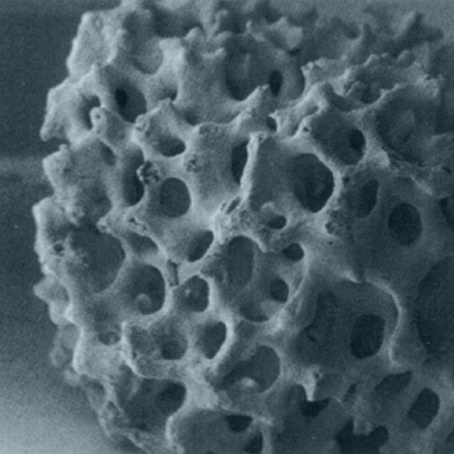 Magnified view of the porous structure of Skelite bioceramic.