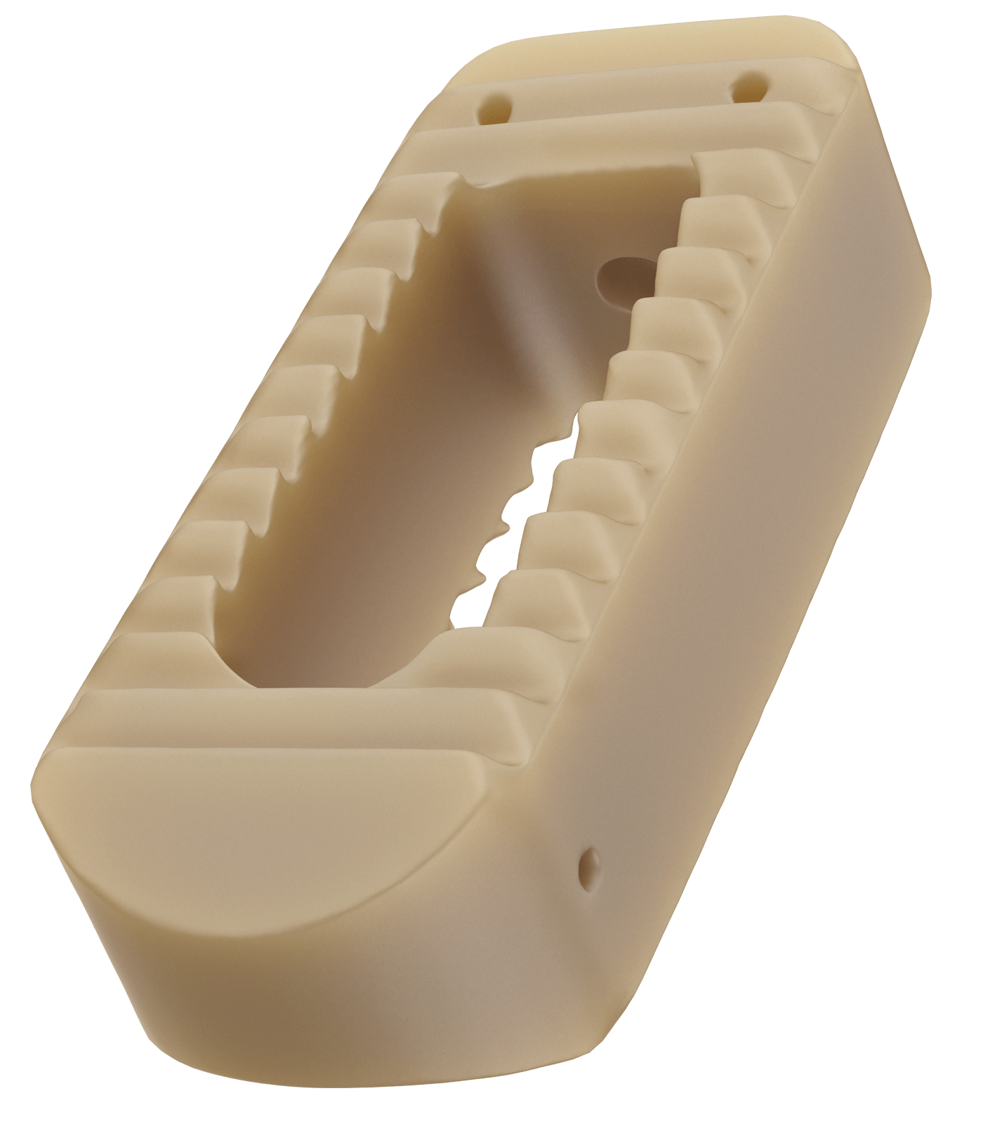 Rendering of a spinal implant made entirely from PEEK.