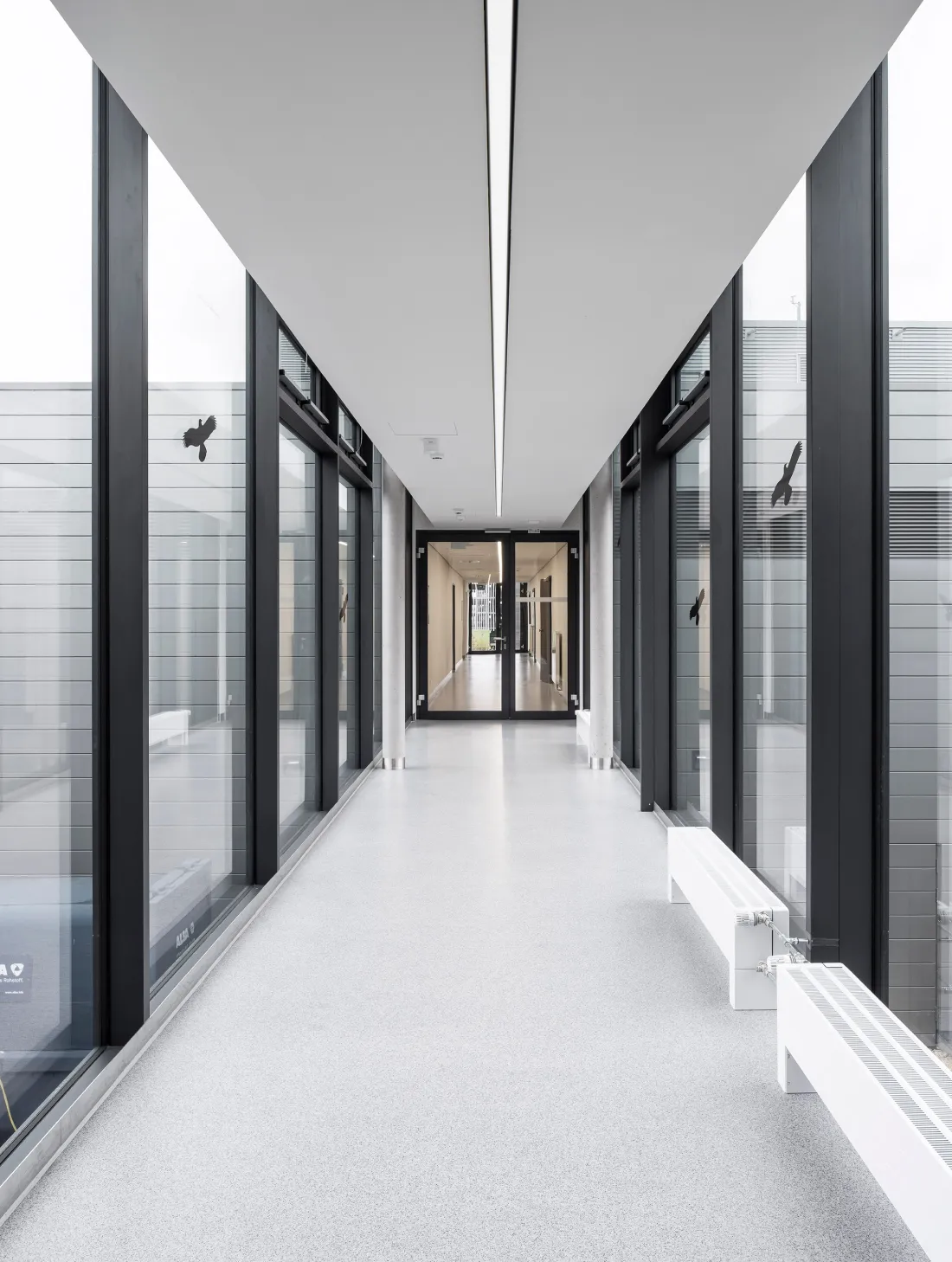 Bright, modern corridor with large floor-to-ceiling windows on both sides and a grey speckled floor, leading to double glass doors at the end.