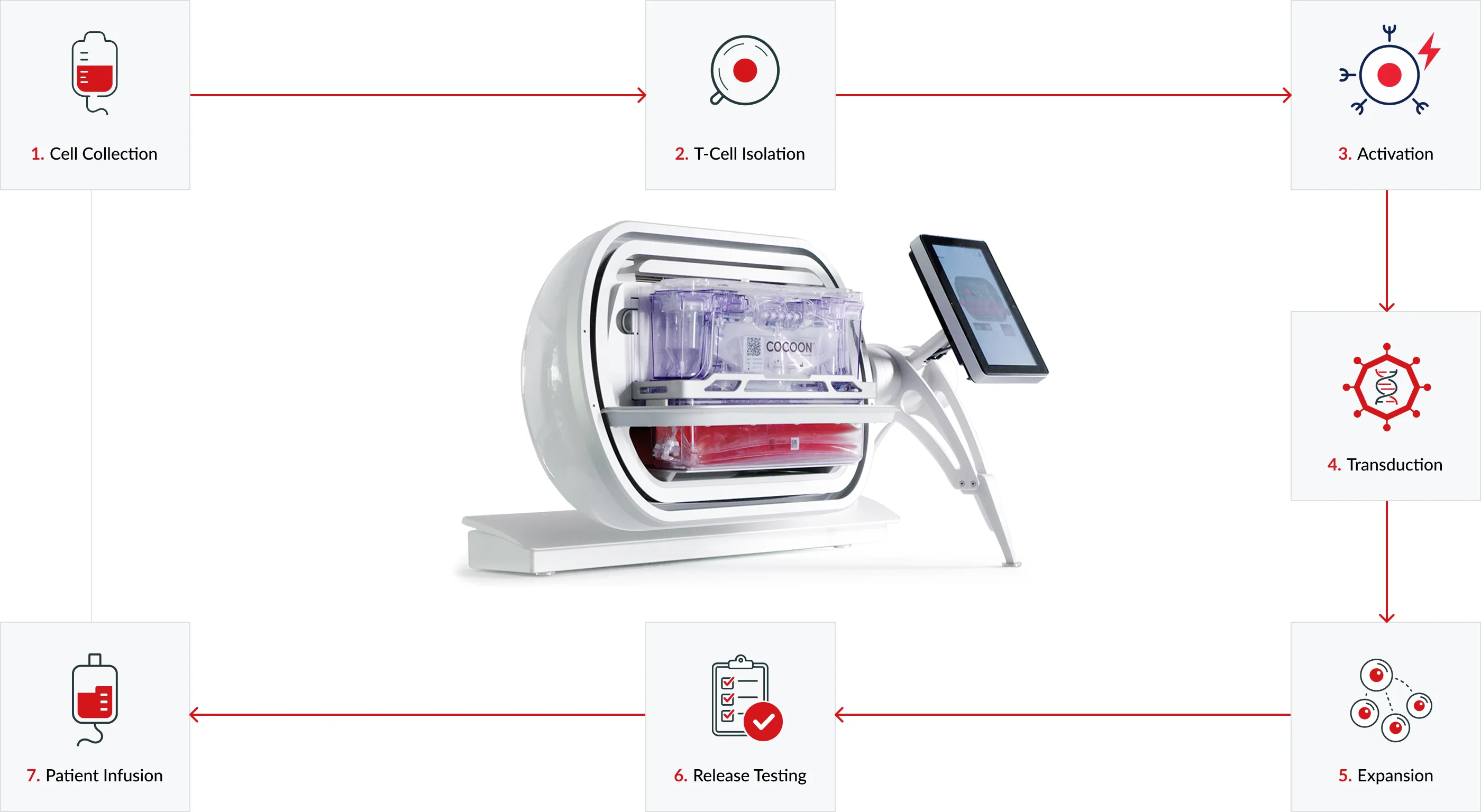 Diagram showing a seven-step cell therapy process around a central device labeled 'COCOON': 1. Cell Collection, 2. T-Cell Isolation, 3. Activation, 4. Transduction, 5. Expansion, 6. Release Testing, and 7. Patient Infusion, connected by red arrows.
