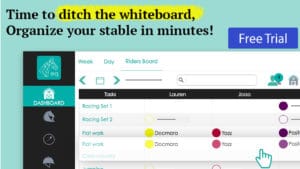 Ditch the whiteboard