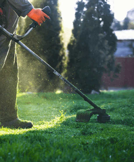 Body corporate garden maintenance