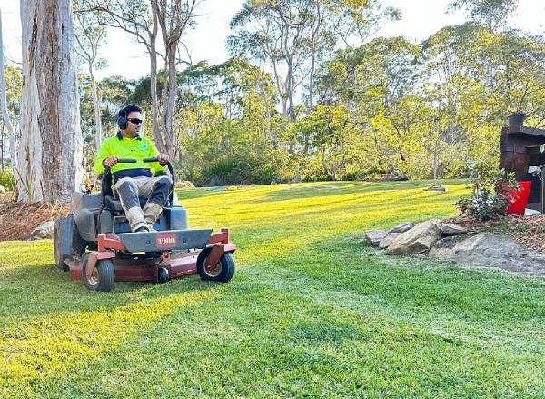 Lawn Mowing service