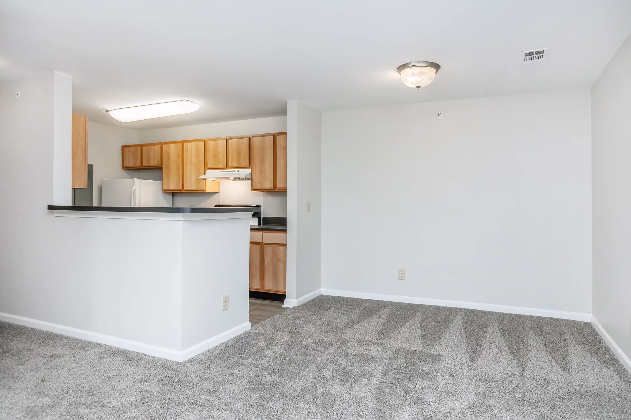 Kitchen transitioning to living room area in 3 bedroom 