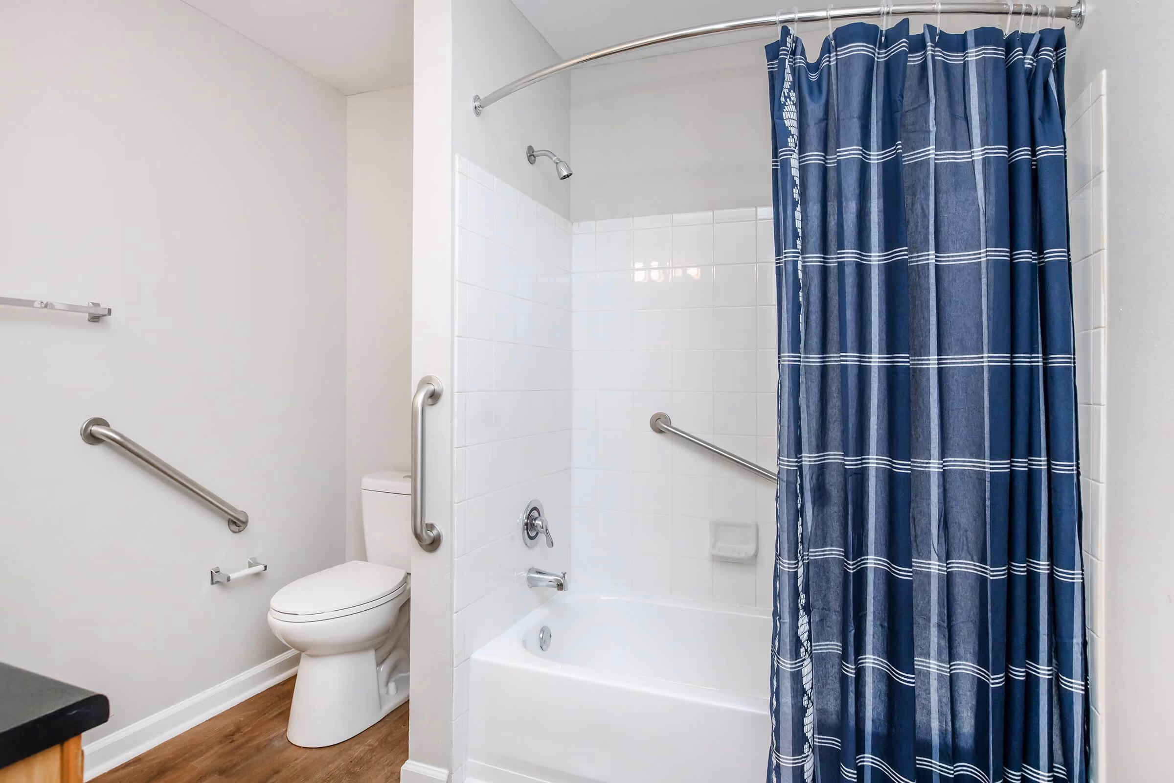 Bathroom toilet and shower with curtain