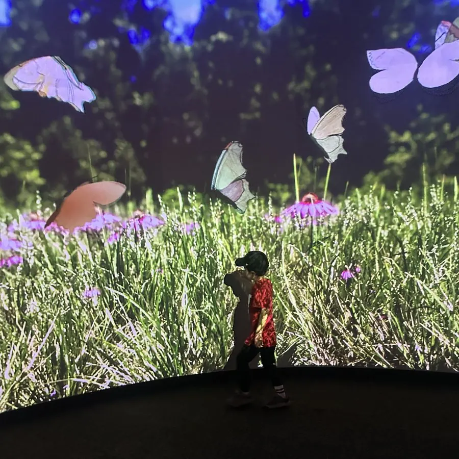 A child walks through an immersive exhibit with projected butterflies