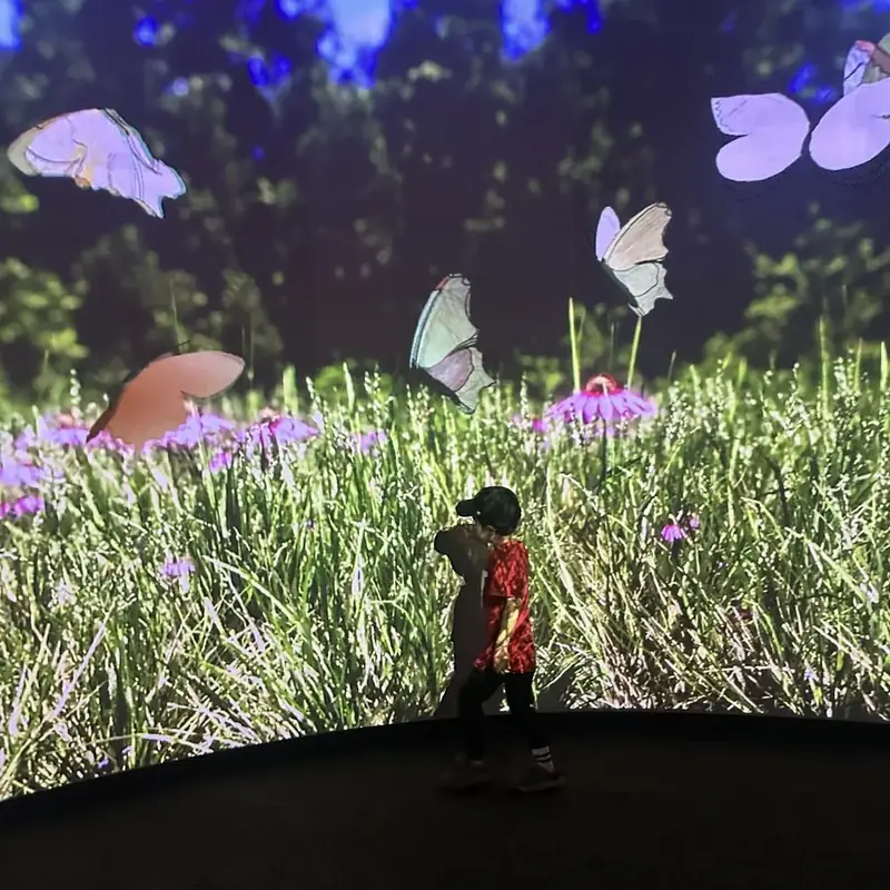 A child walks through an immersive exhibit with projected butterflies
