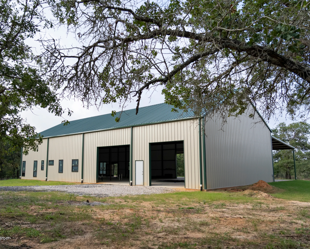 Modern metal-sided barn building with green roof and large black doors under gnarled tree.