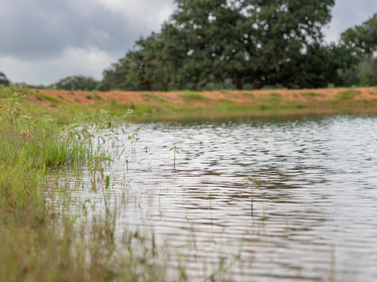 River with green grass and trees along the bank under cloudy sky