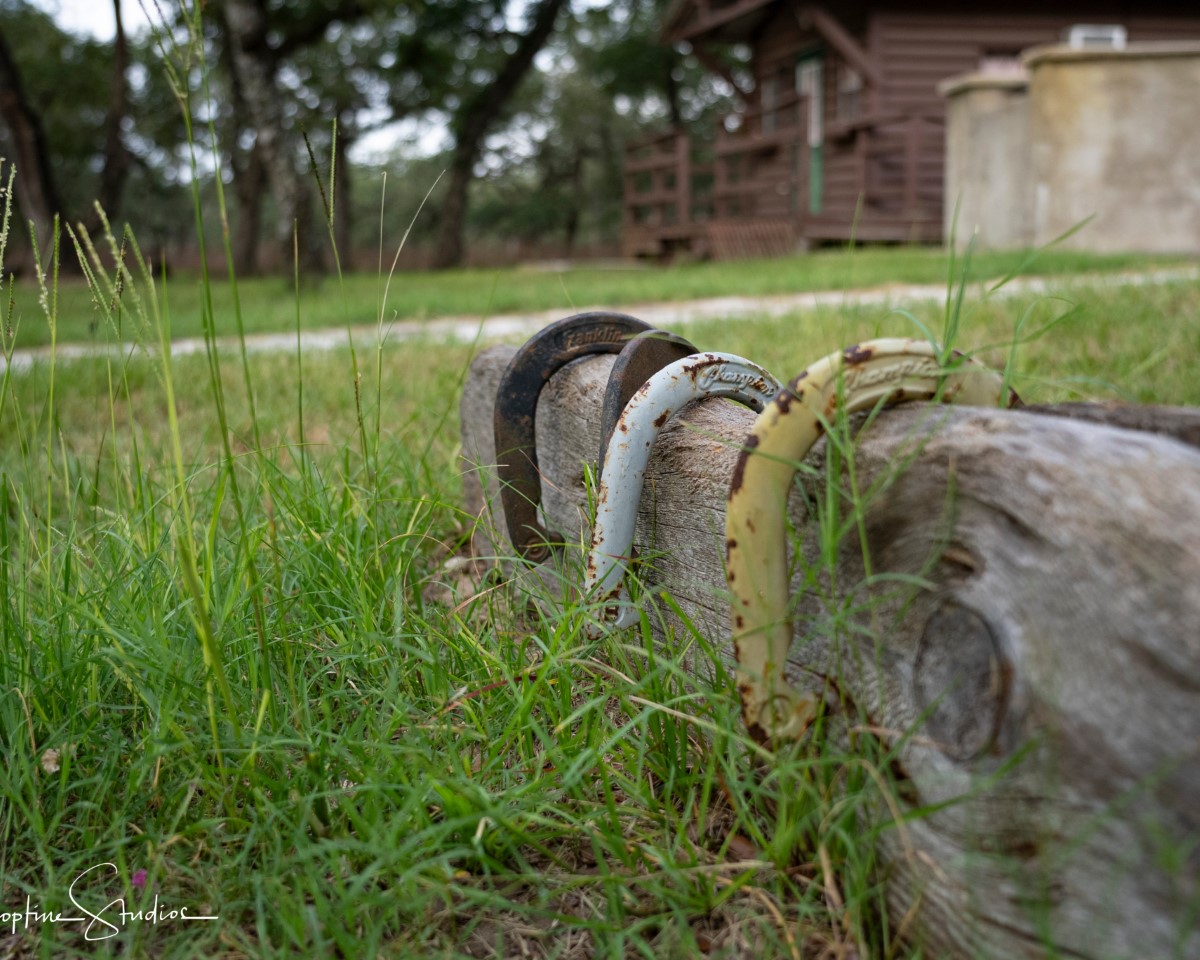 Horseshoes displayed on weathered log for outdoor games competition