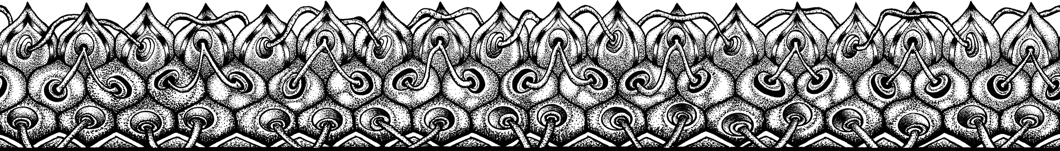 Interconnection outer border band variation.