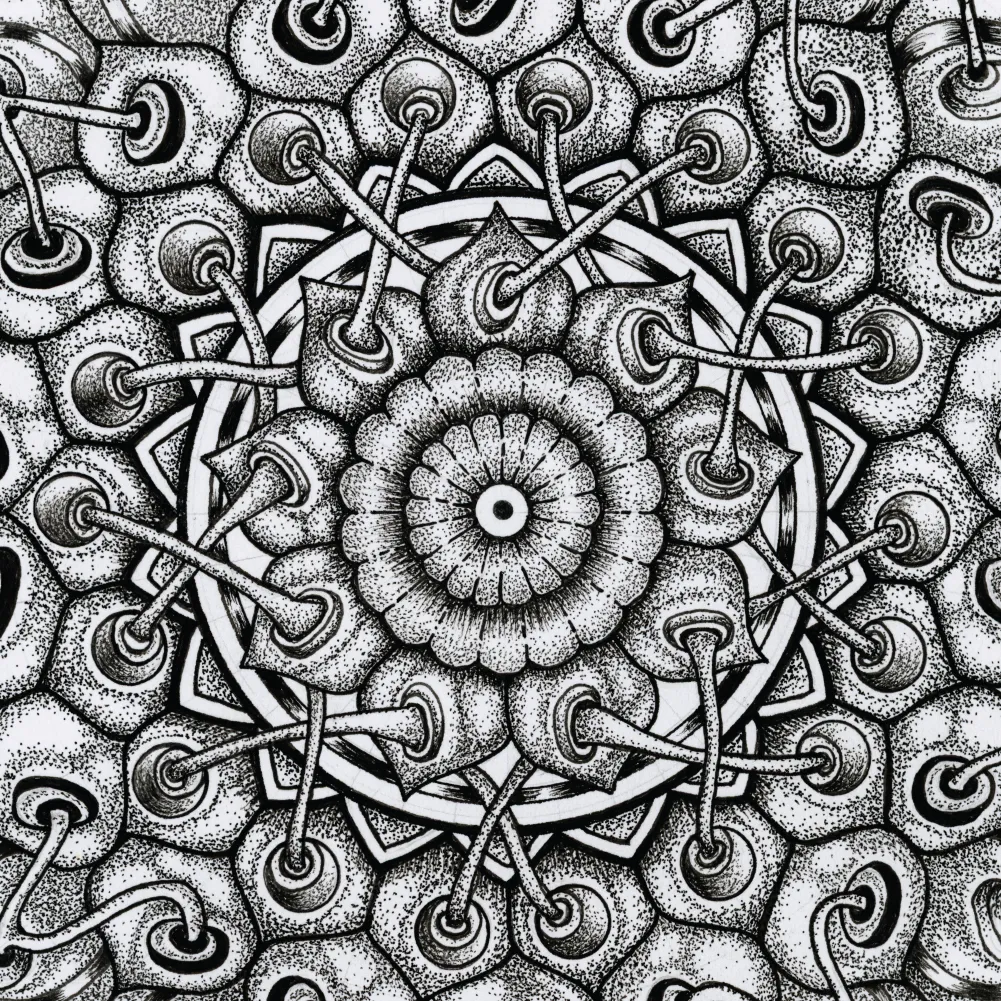 Original Interconnection mandala artwork by Flowstate Design Studio.