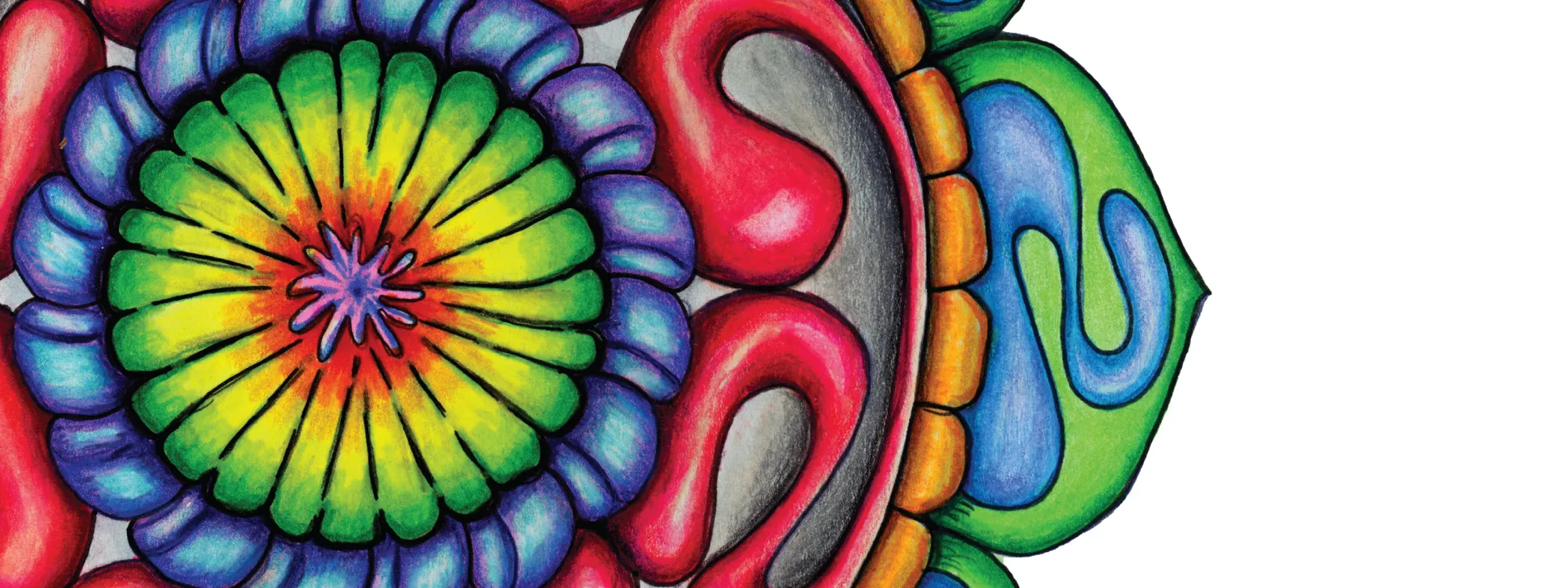 Horizontal Crop: Horizontal composition featuring a partial colorful mandala extending from the edge
