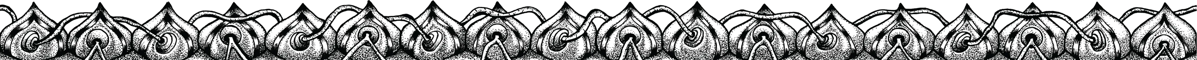 Interconnection middle border band variation two.