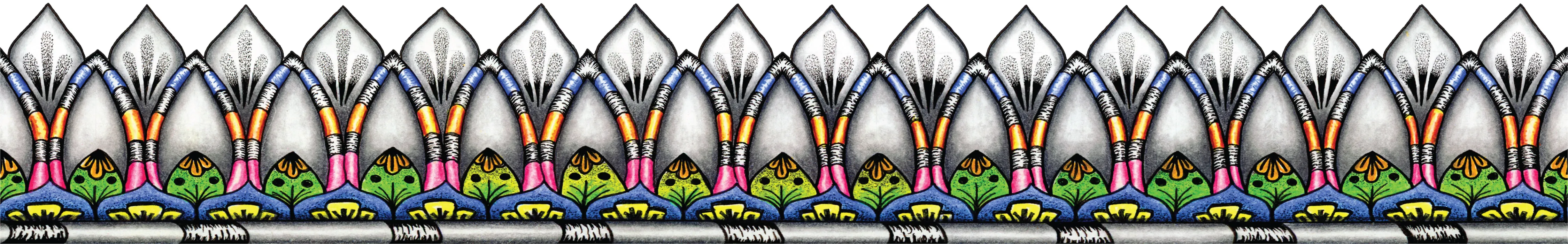 Radiance outer border band variation.