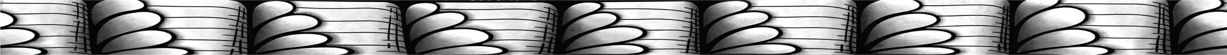 Mesmerize middle border band variation three.