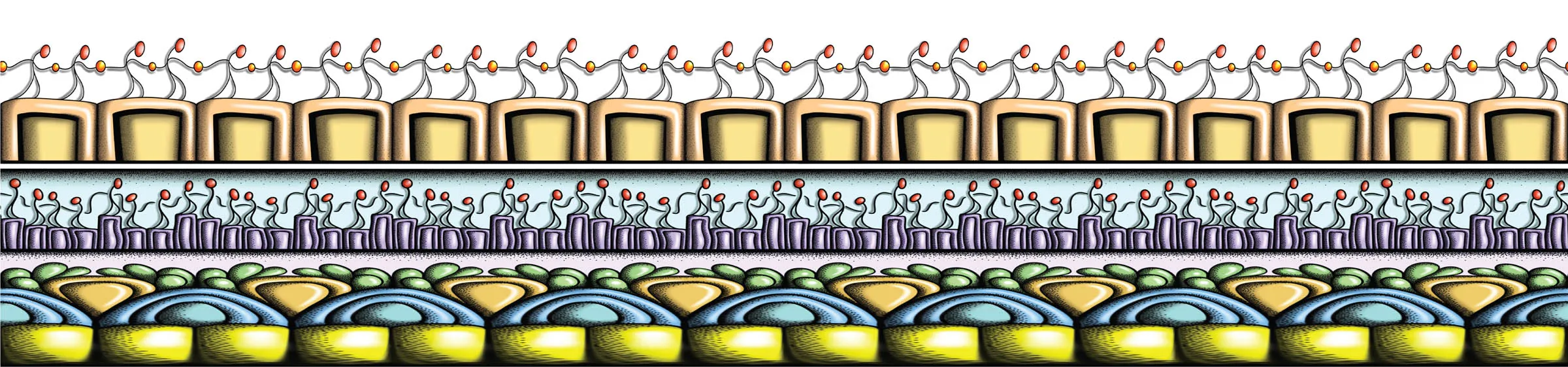 Together full border band variation.