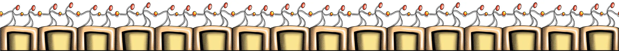 Together outer border band variation.