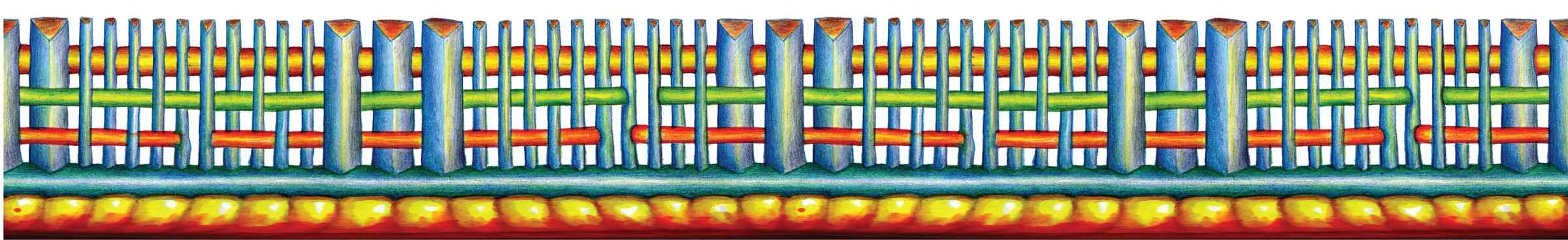 Spokin full border band variation.