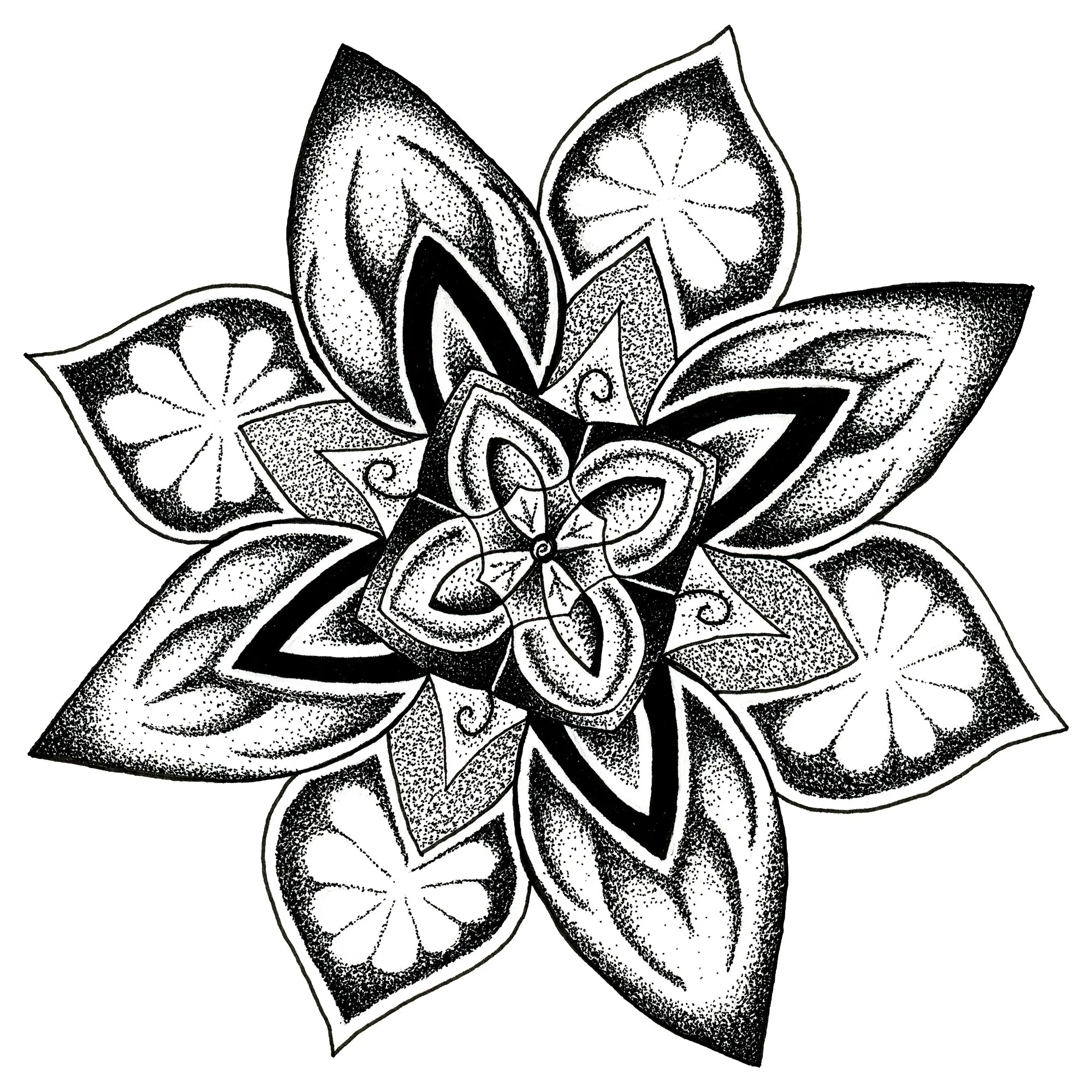 Sea Star design system artwork