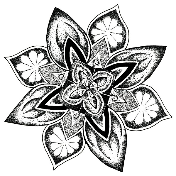 Sea Star design system artwork
