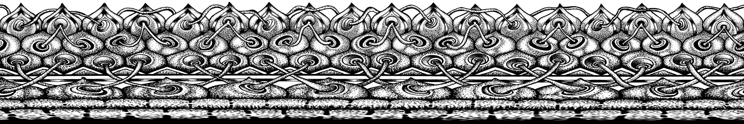Interconnection full border band variation.