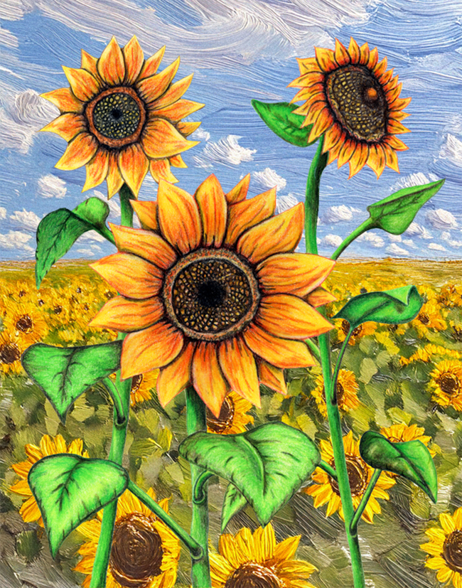Sunflowers Puzzle image
