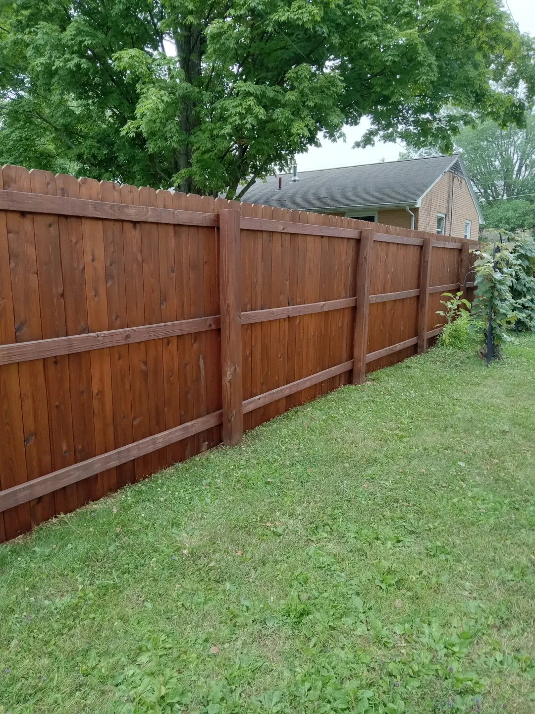 stained wooden fence along property line