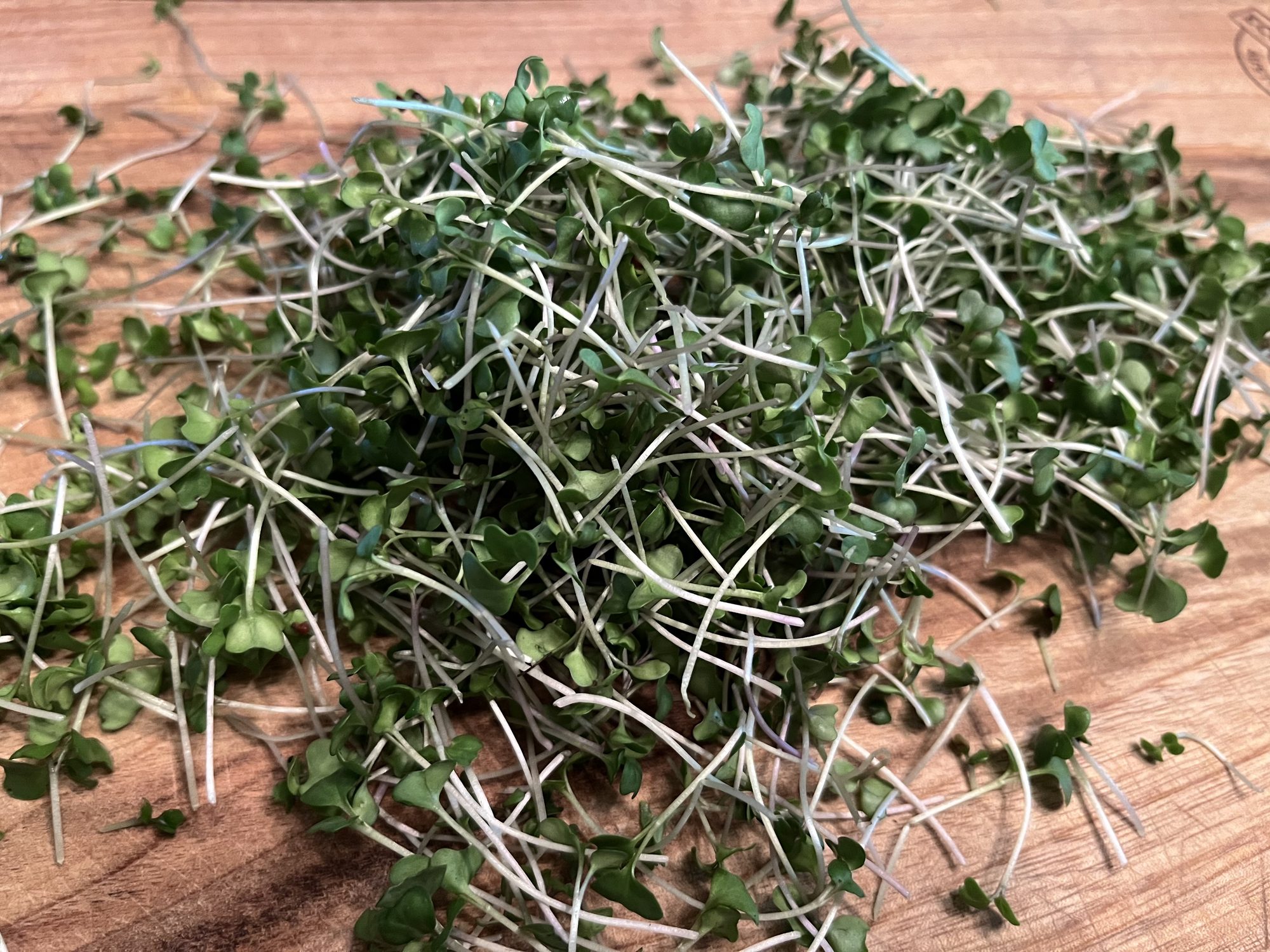 Freshly harvested broccoli microgreens on a wooden board