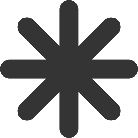Black eight-pointed asterisk symbol.