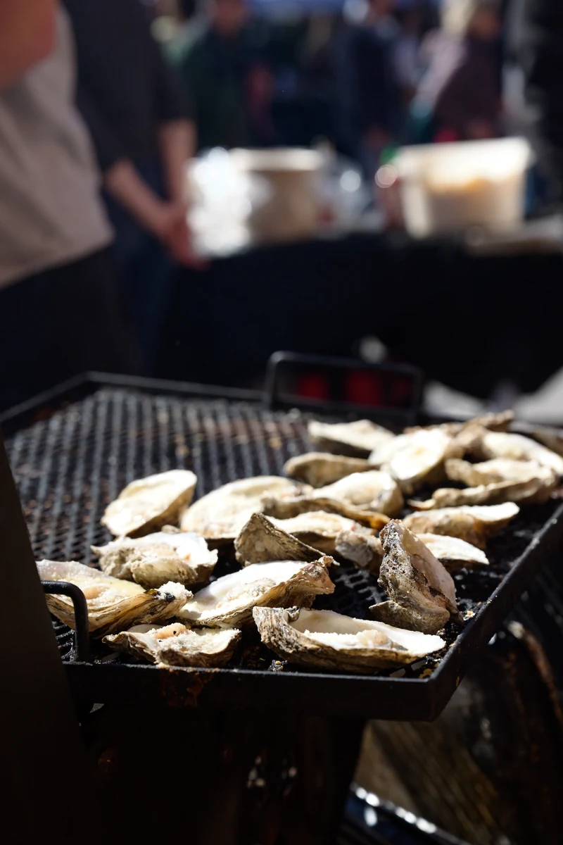Close-up of oysters cooking on a grill at Mardi Gras Fest.