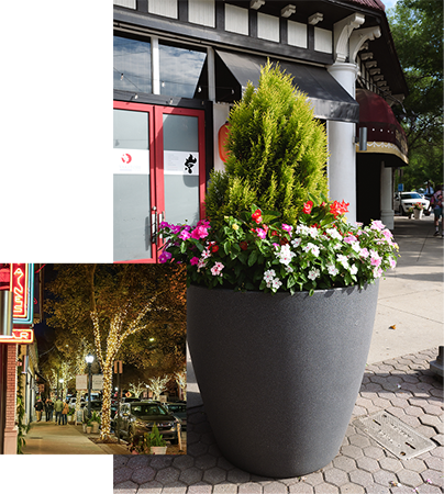 Storefront entrance with a planter of seasonal flowers — placeholder pending real Porchfest photography