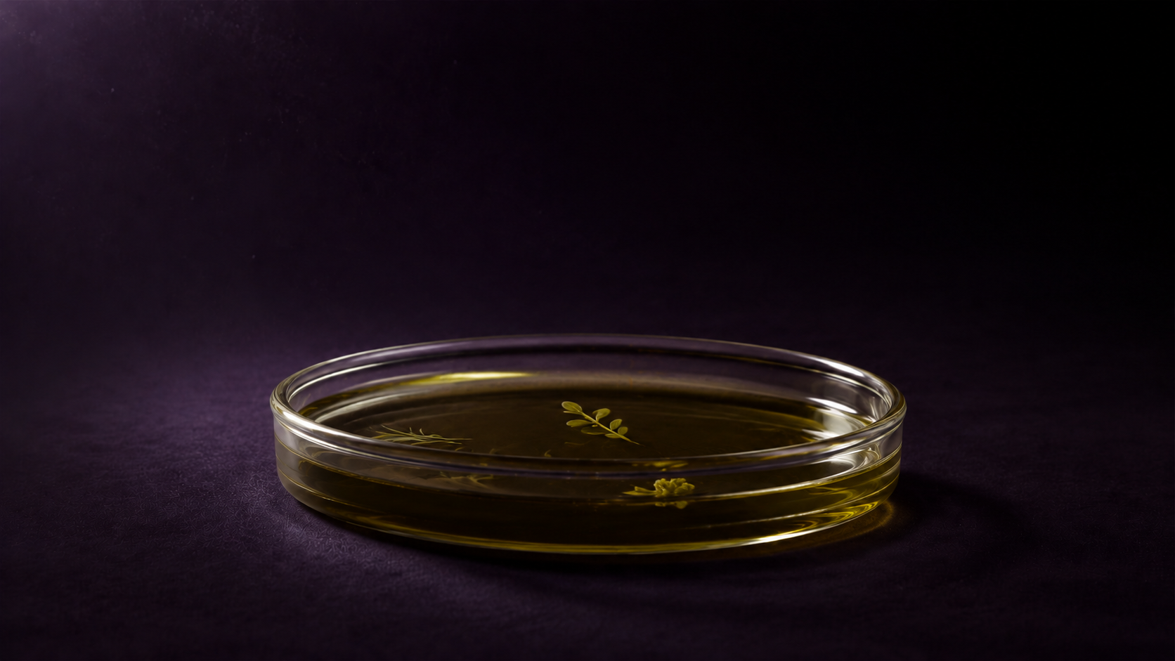 Oil Infusion