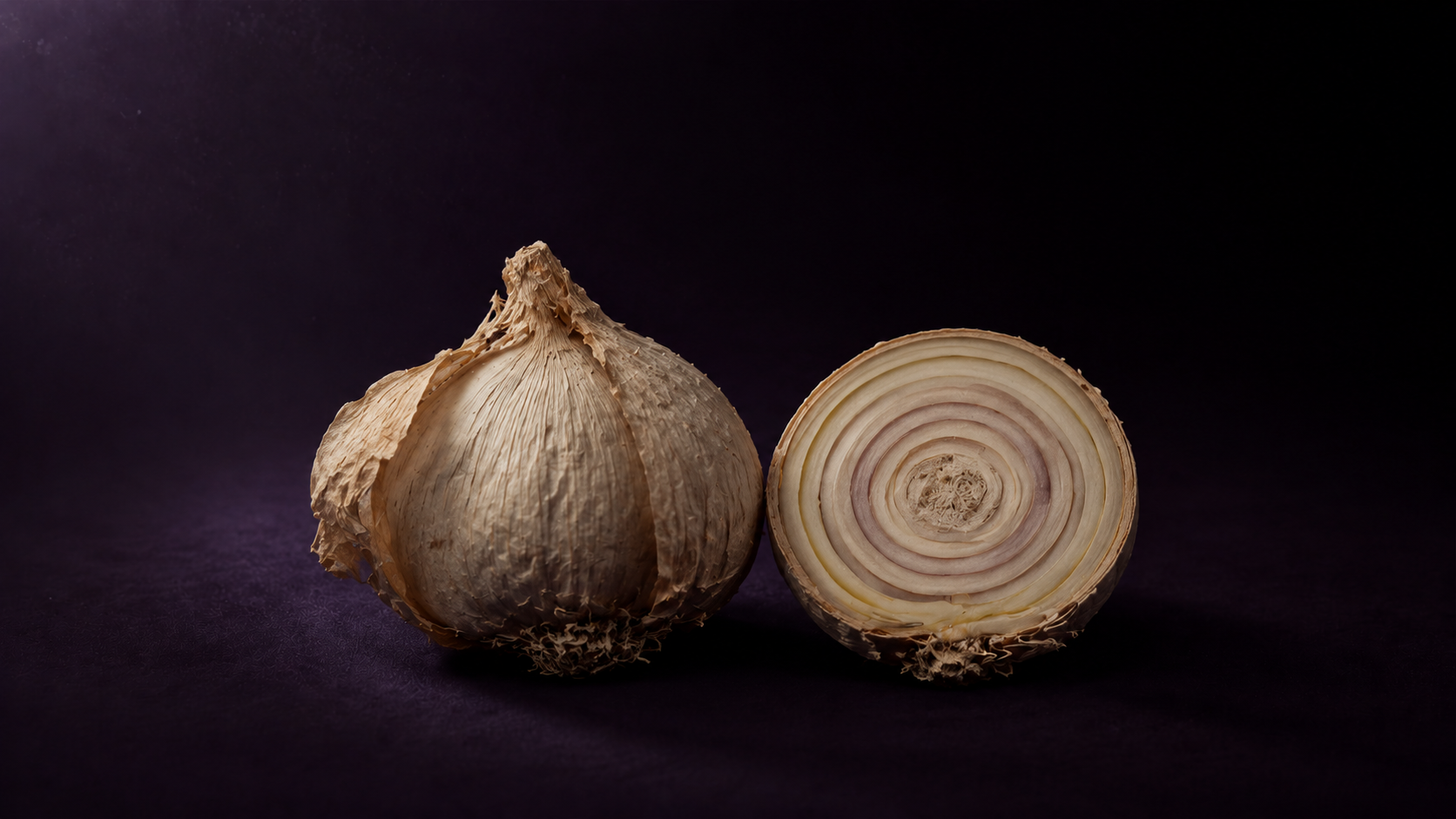 Bulb